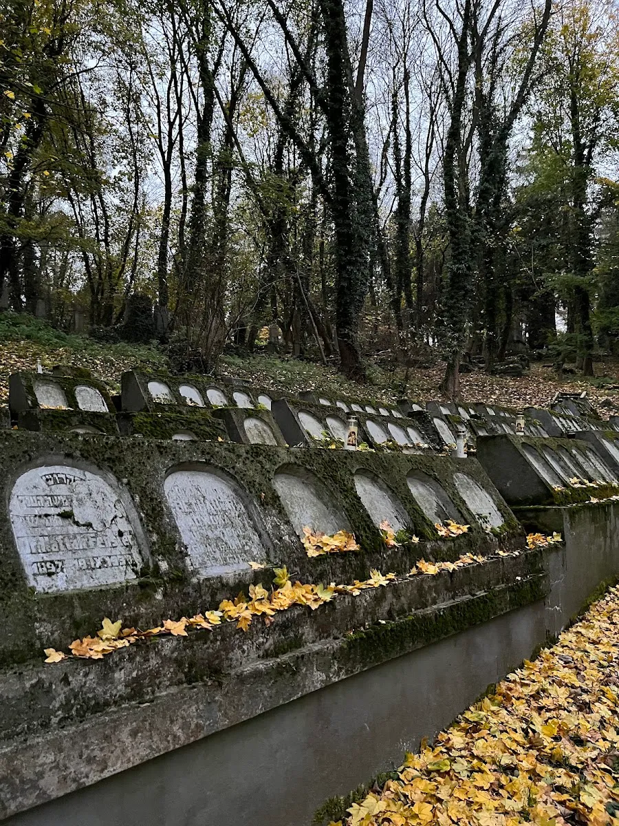 Nowy cmentarz żydowski w Przemyślu — foto 8