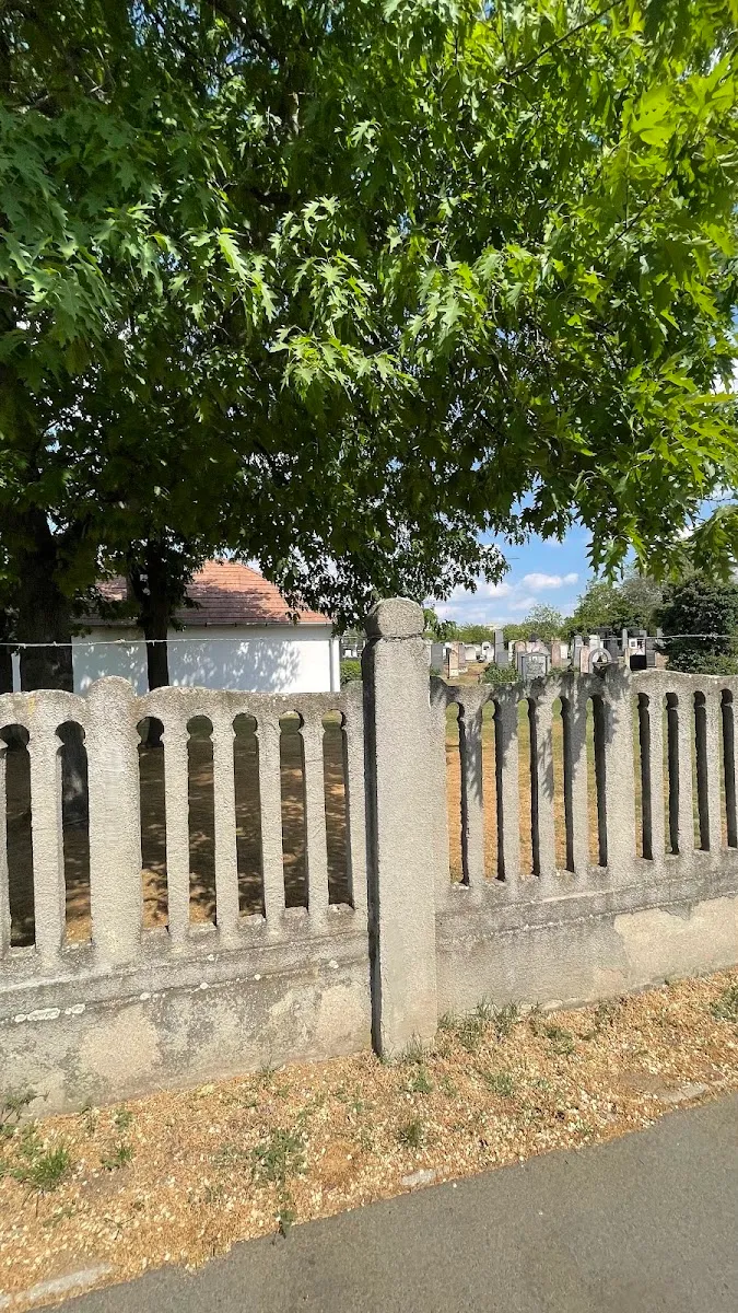Nyíregyházi zsidó temető — photo 5