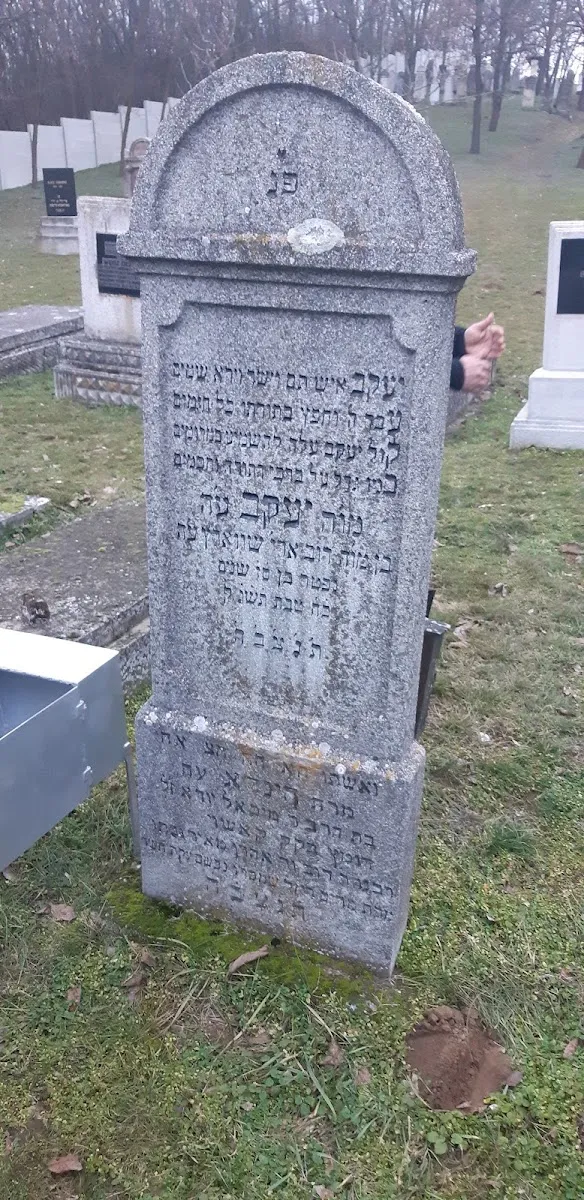 Nyíregyházi zsidó temető — photo 6