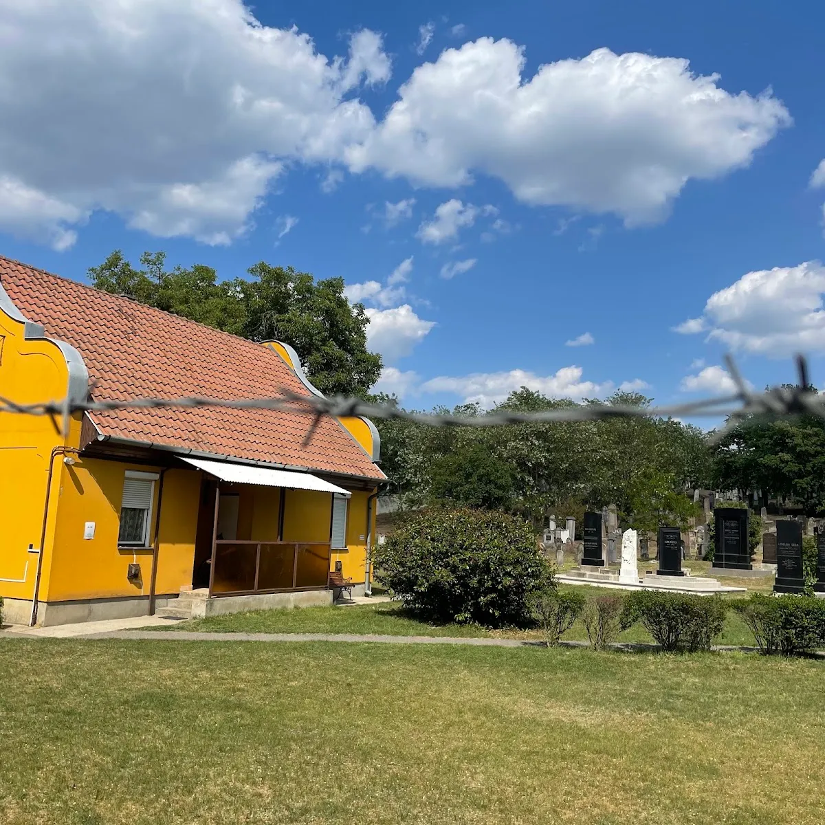 Nyíregyházi zsidó temető — photo 7