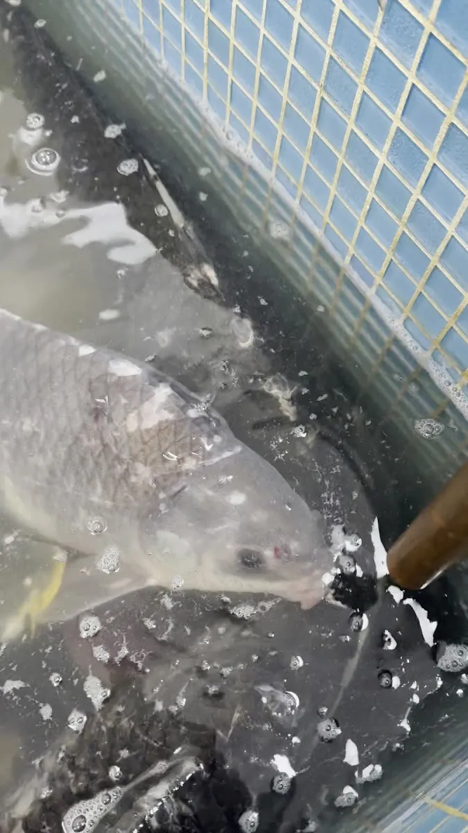 Ocean Fish Market BH — photo 10