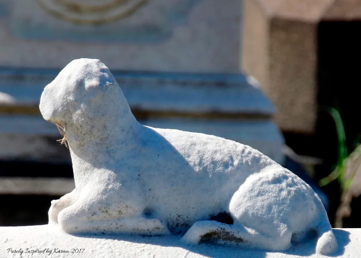 Oheb Shalom Cemetery (Reisterstown) — photo 6