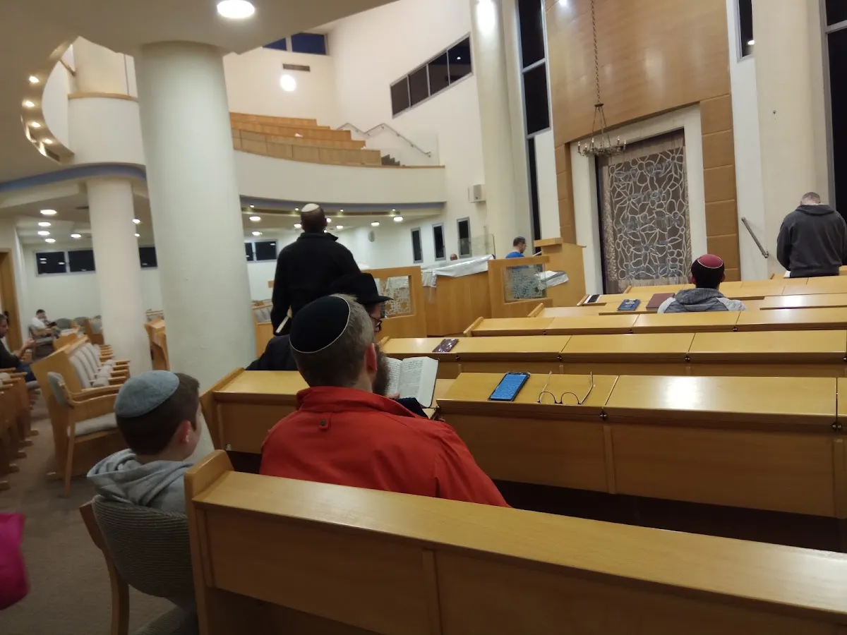 Ohel Ari Synagogue — foto 3