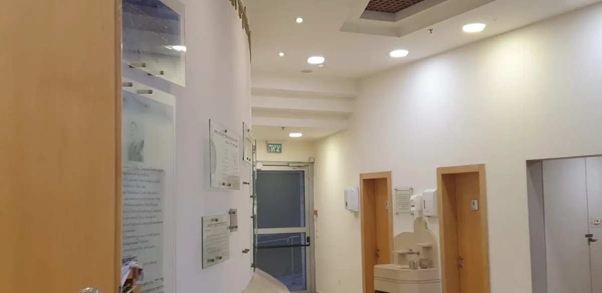 Ohel Ari Synagogue — foto 8