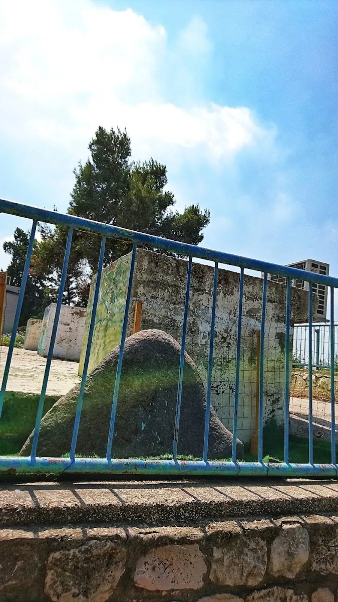 Ohel Shlomo synagogue — foto 6
