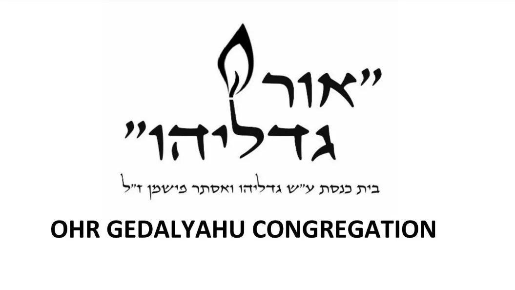 Ohr Gedalyahu Synagogue — foto 10