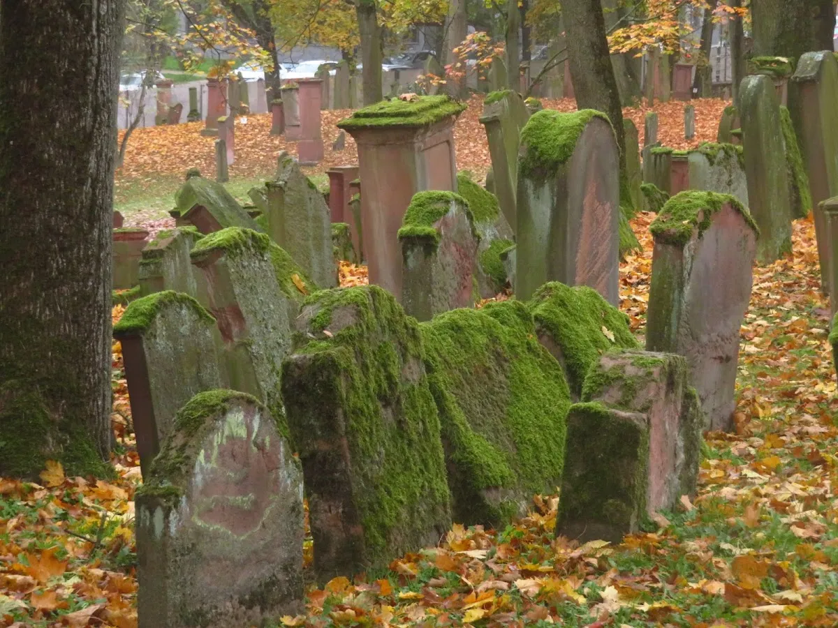 Old Jewish Cemetery — foto 8