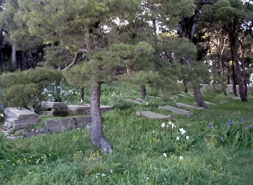Old Jewish cemetery — photo 10