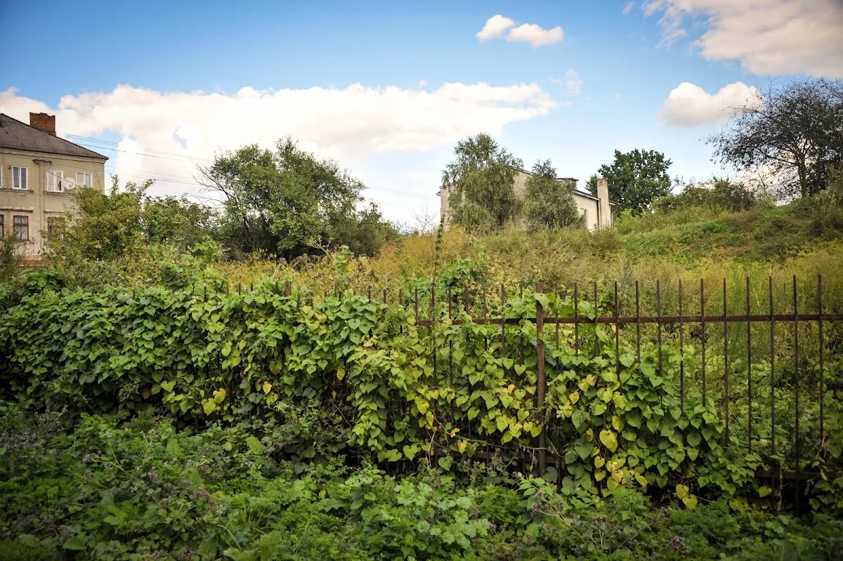 Old Jewish Cemetery in Belz — photo 3