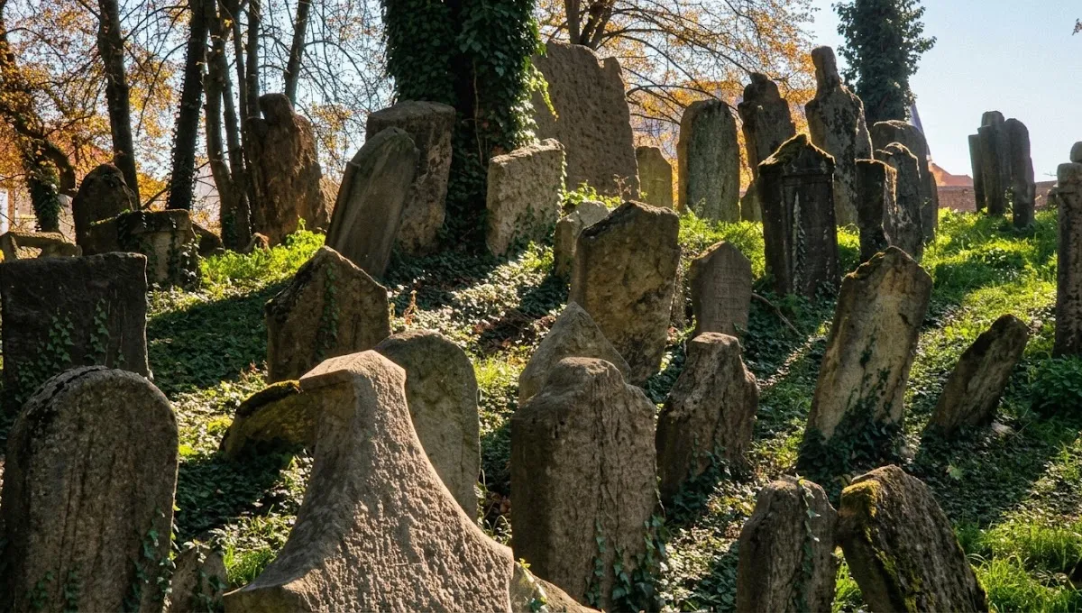 Starý židovský hřbitov Kolín — foto 2