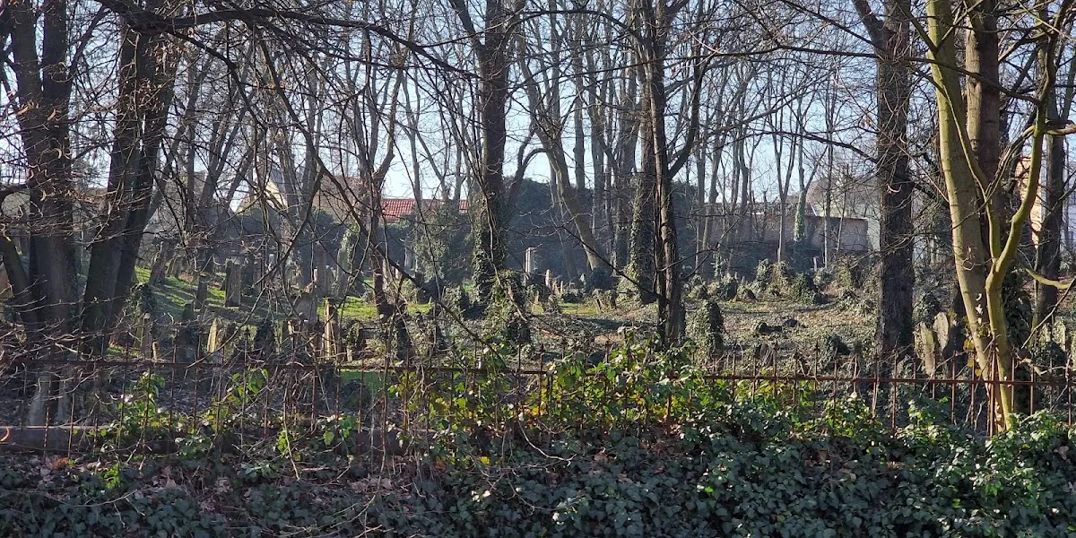 Starý židovský hřbitov Kolín — foto 5
