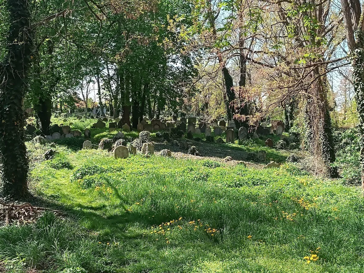 Starý židovský hřbitov Kolín — foto 8