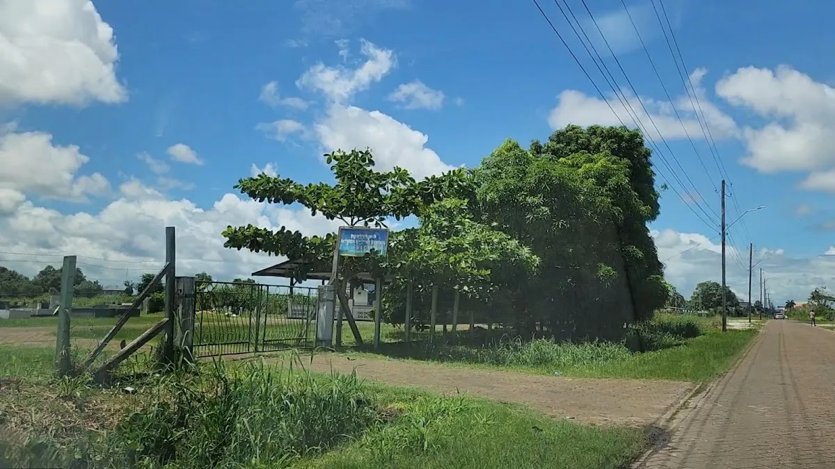 Old Jewish Cemetery of Paramaribo — foto 2