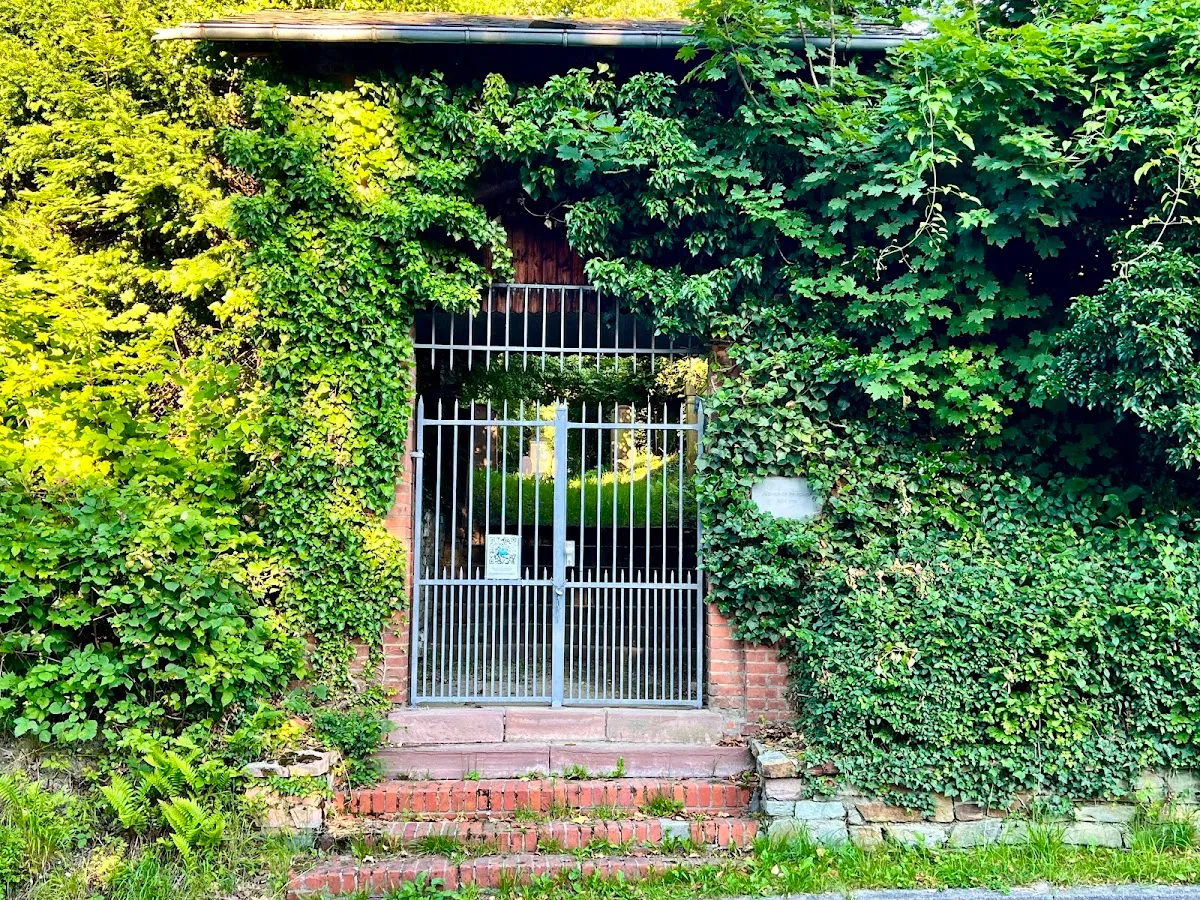 Alter Jüdischer Friedhof Wiesbaden — foto 2