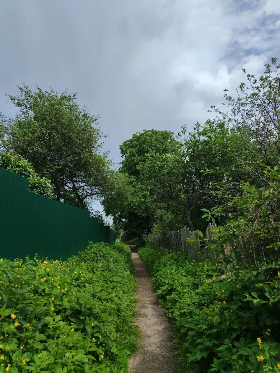 Or Avner Chabad Foundation — foto 4