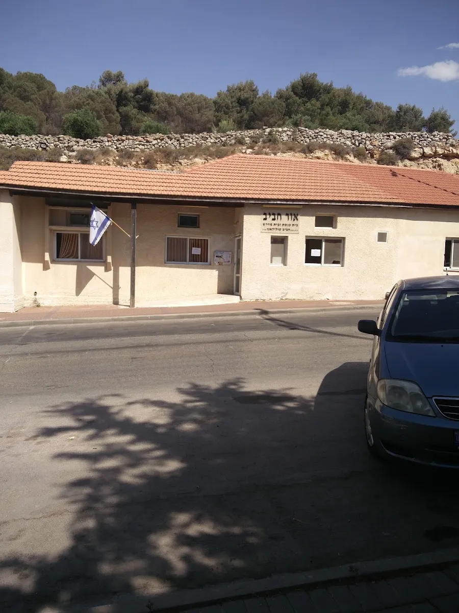 Or Chaviv Synagogue — foto 3