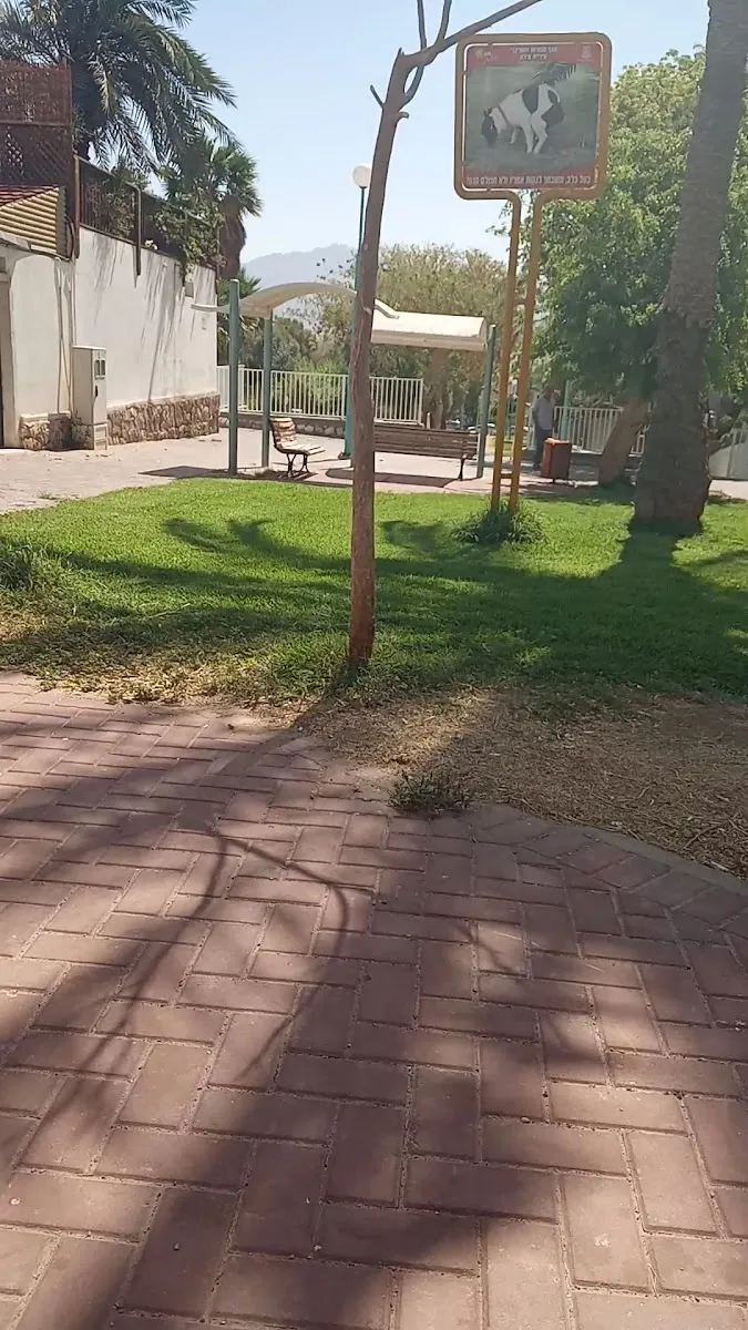 Or HaChaim Synagogue Eilat — foto 2