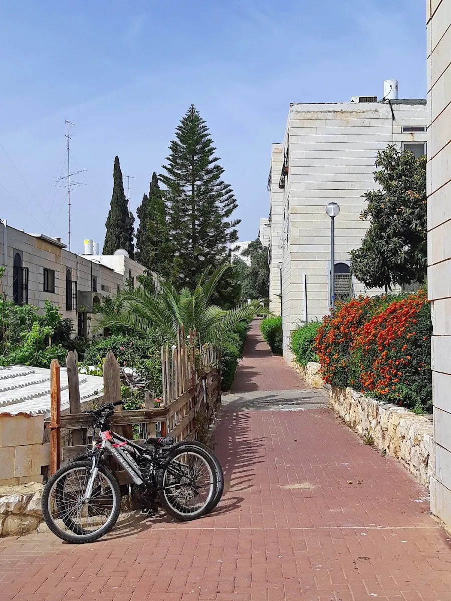 Or HaTorah Synagogue — foto 2