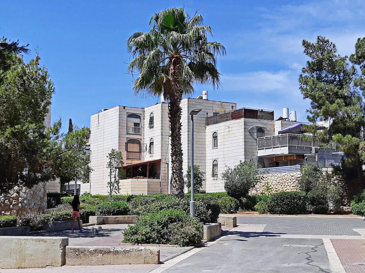 Or HaTorah Synagogue — foto 4