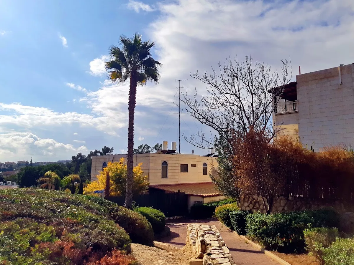 Or HaTorah Synagogue — foto 5