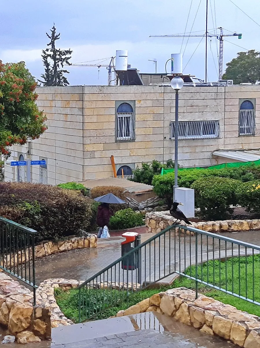 Or HaTorah Synagogue — foto 6
