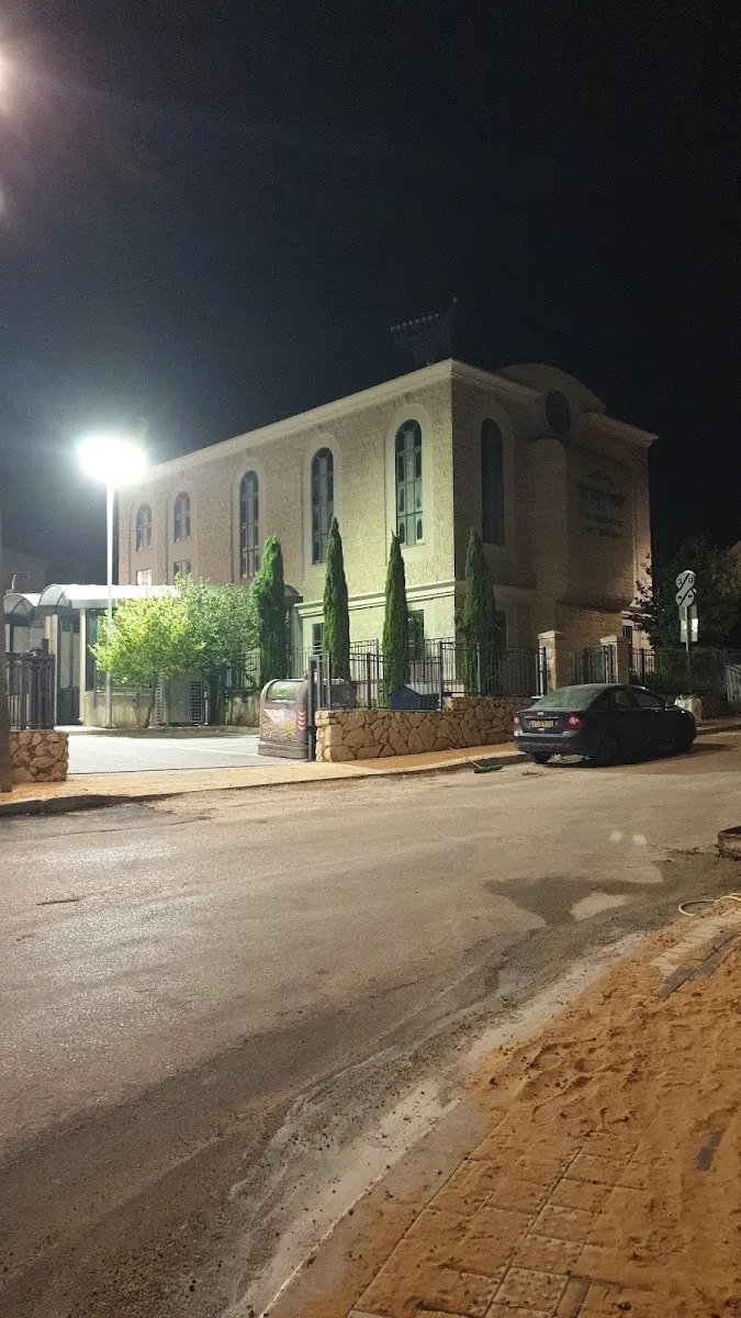Or Torah Synagogue — foto 4