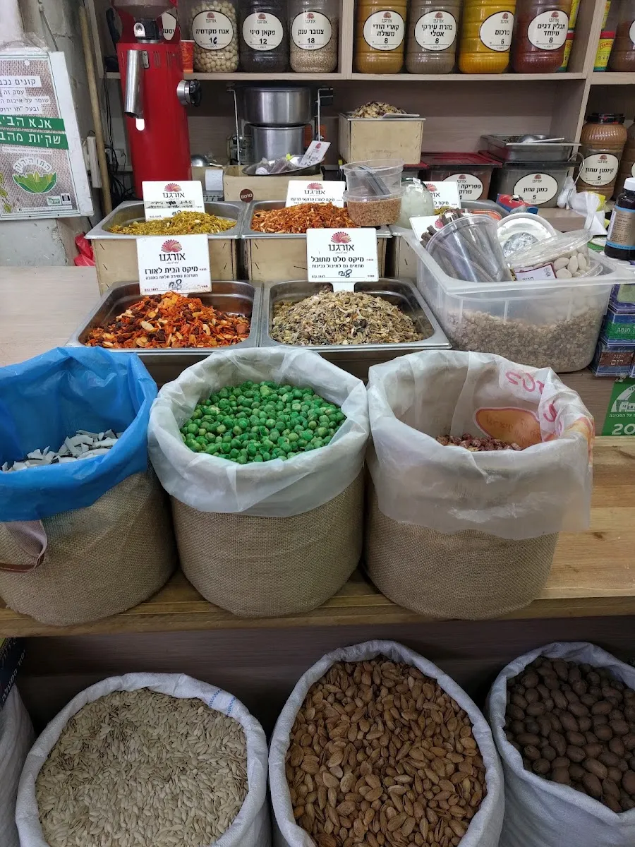 Oregano — photo 2