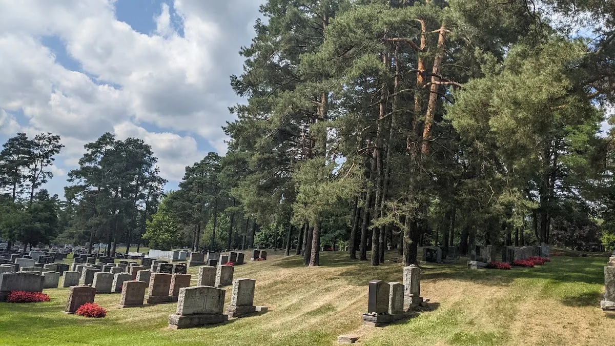 Pardes Shalom Cemetery — foto 6
