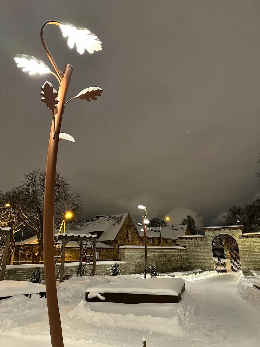 Parque del Viejo Cementerio Judío de Tallin — foto 10