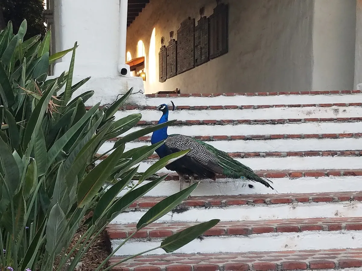Pasadena Jewish Temple & Center — photo 4