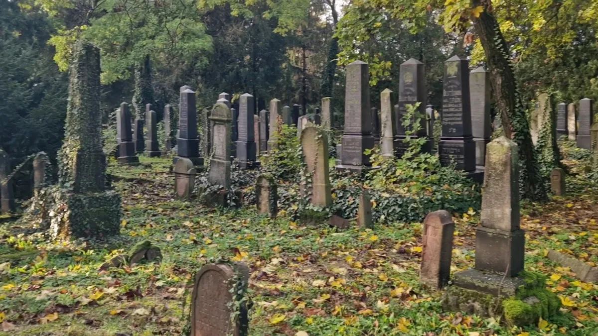 Pécsi Izraelita Hitközség — foto 3