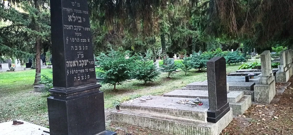 Pécsi Izraelita Hitközség — foto 7