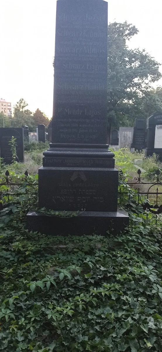 Pécsi Izraelita Hitközség — foto 8