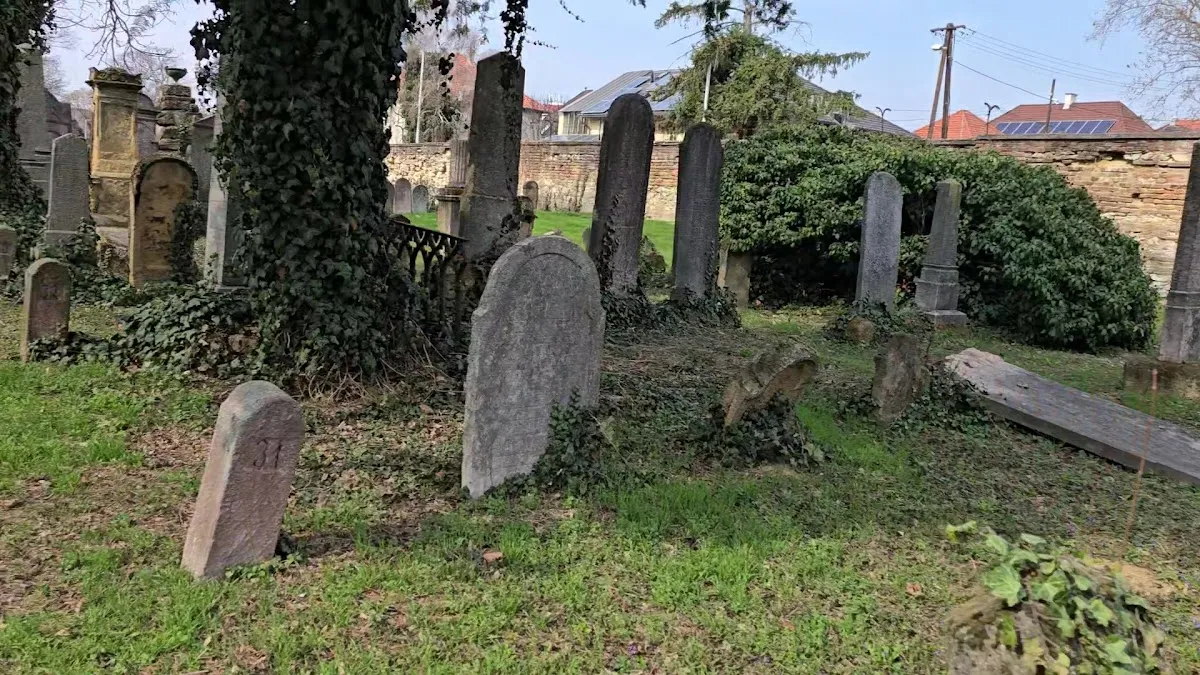 Pécsi izraelita temető — foto 3
