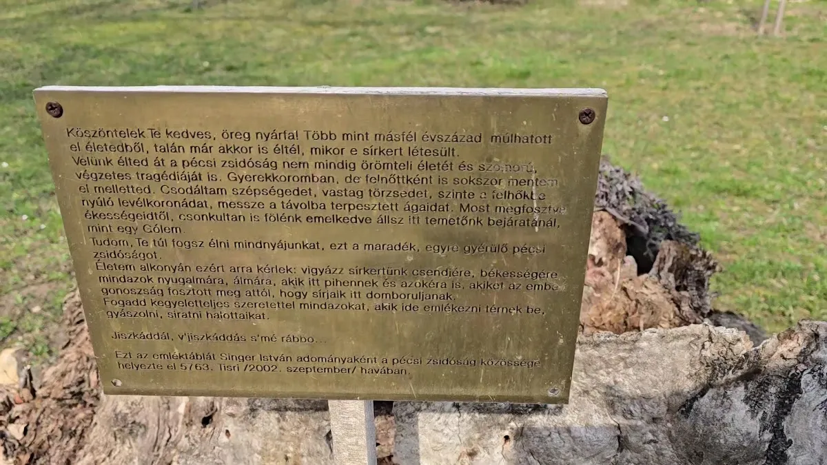 Pécsi izraelita temető — foto 8