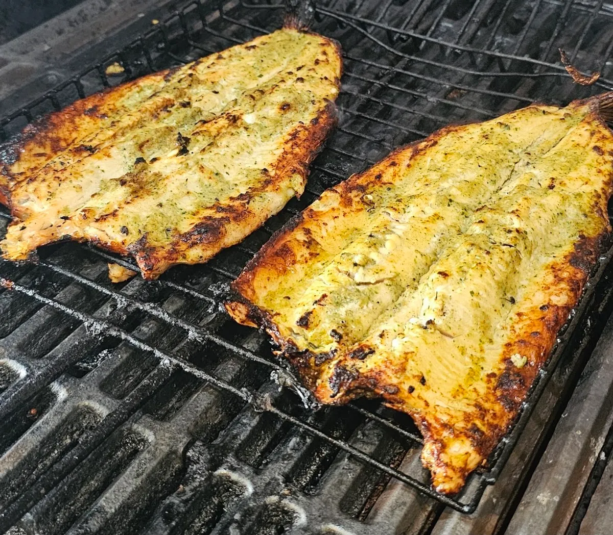 Perfect Pita - Kosher Takeout, Delivery | Catering — photo 10