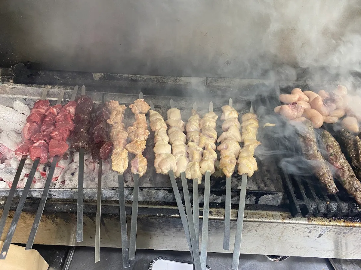 Pita Basarim al HaEsh