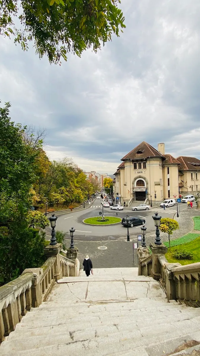 Plaza de los mártires judíos de Iași — foto 3