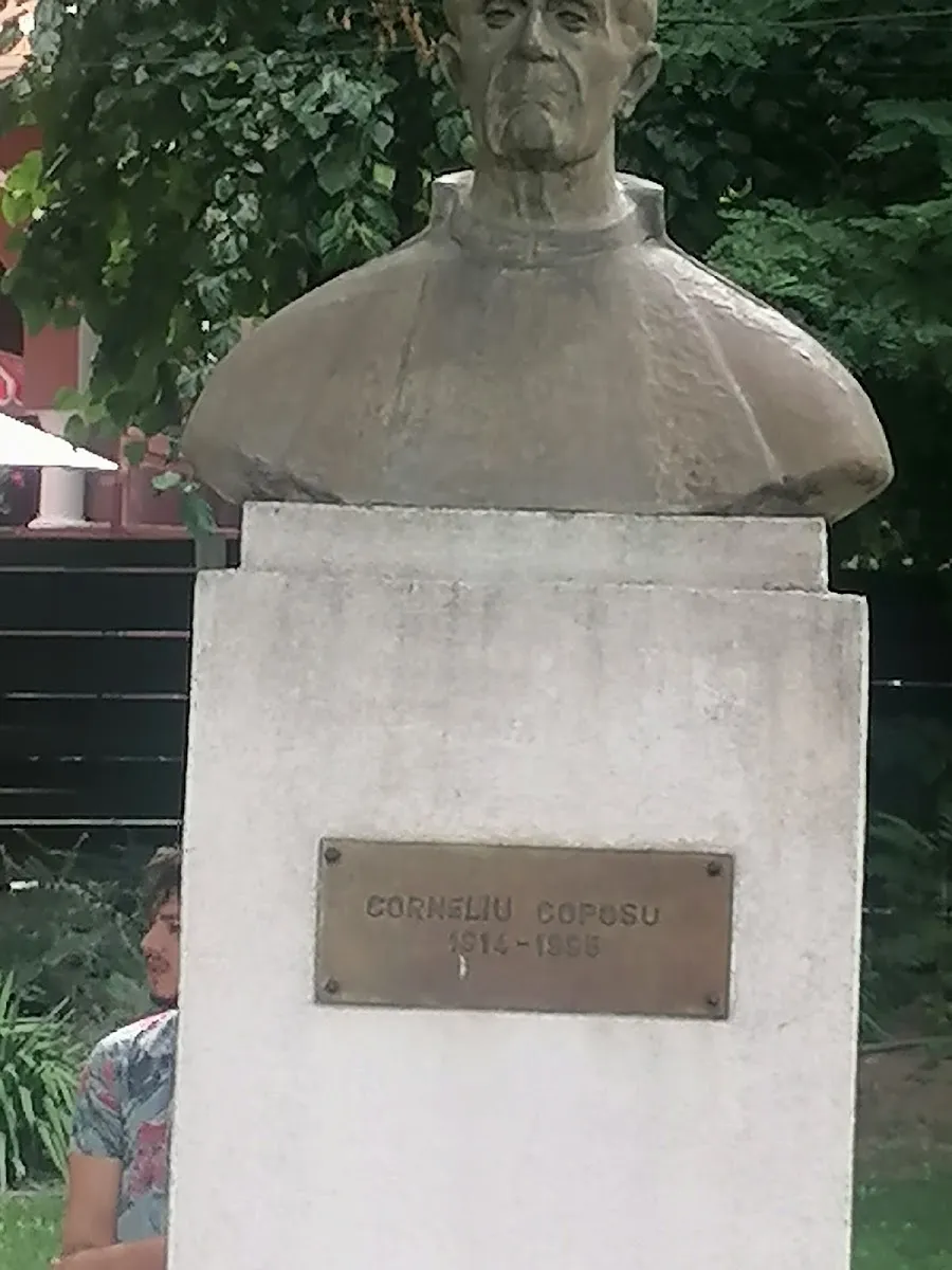Plaza de los mártires judíos de Iași — foto 7