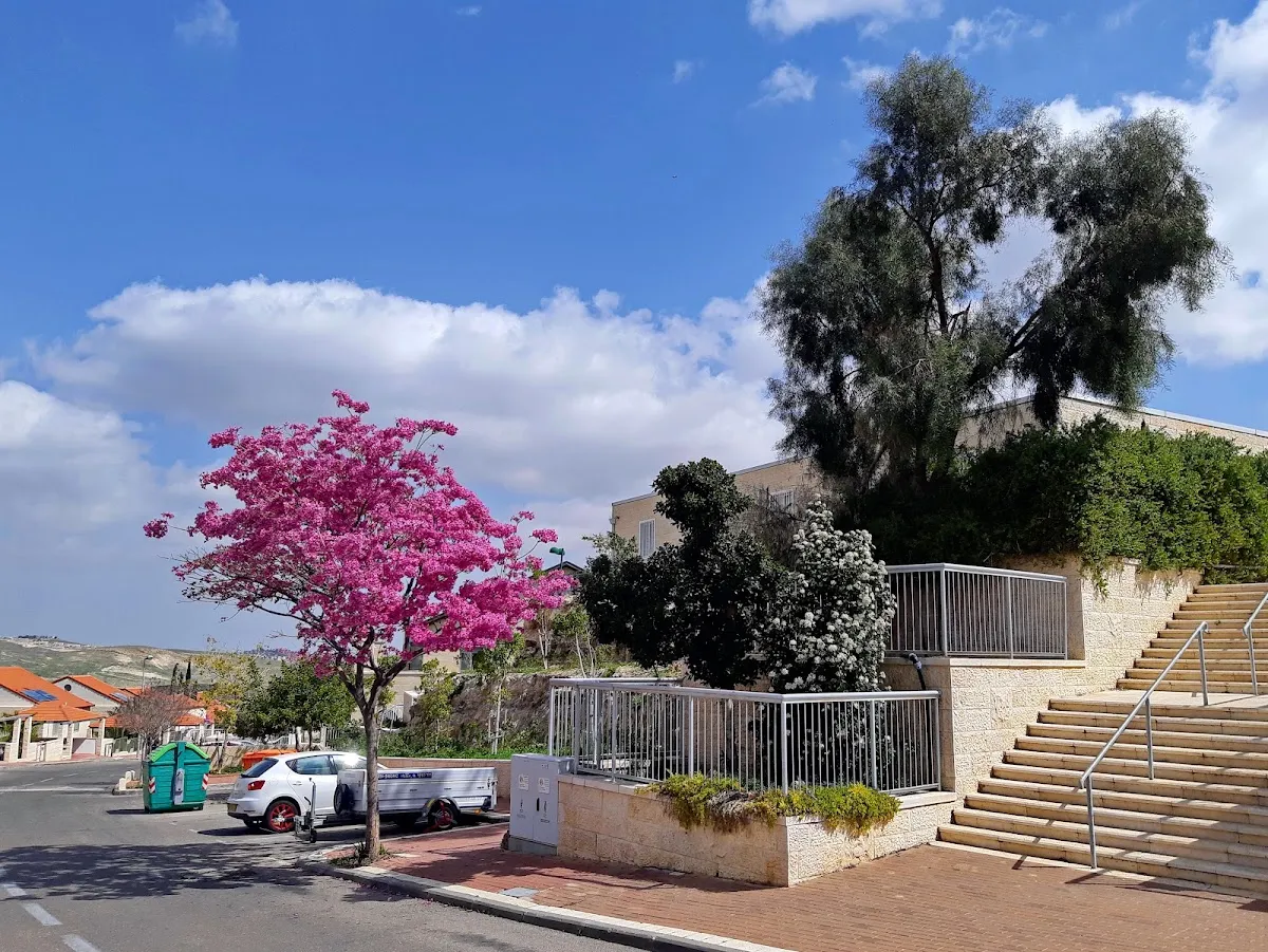 Pnei Shmuel Synagogue — foto 9