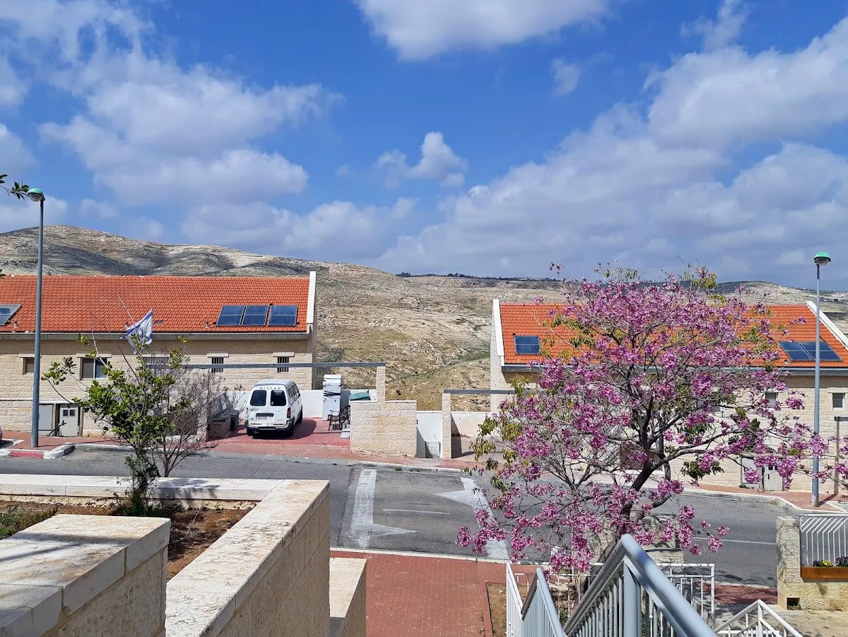 Pnei Shmuel Synagogue — foto 10
