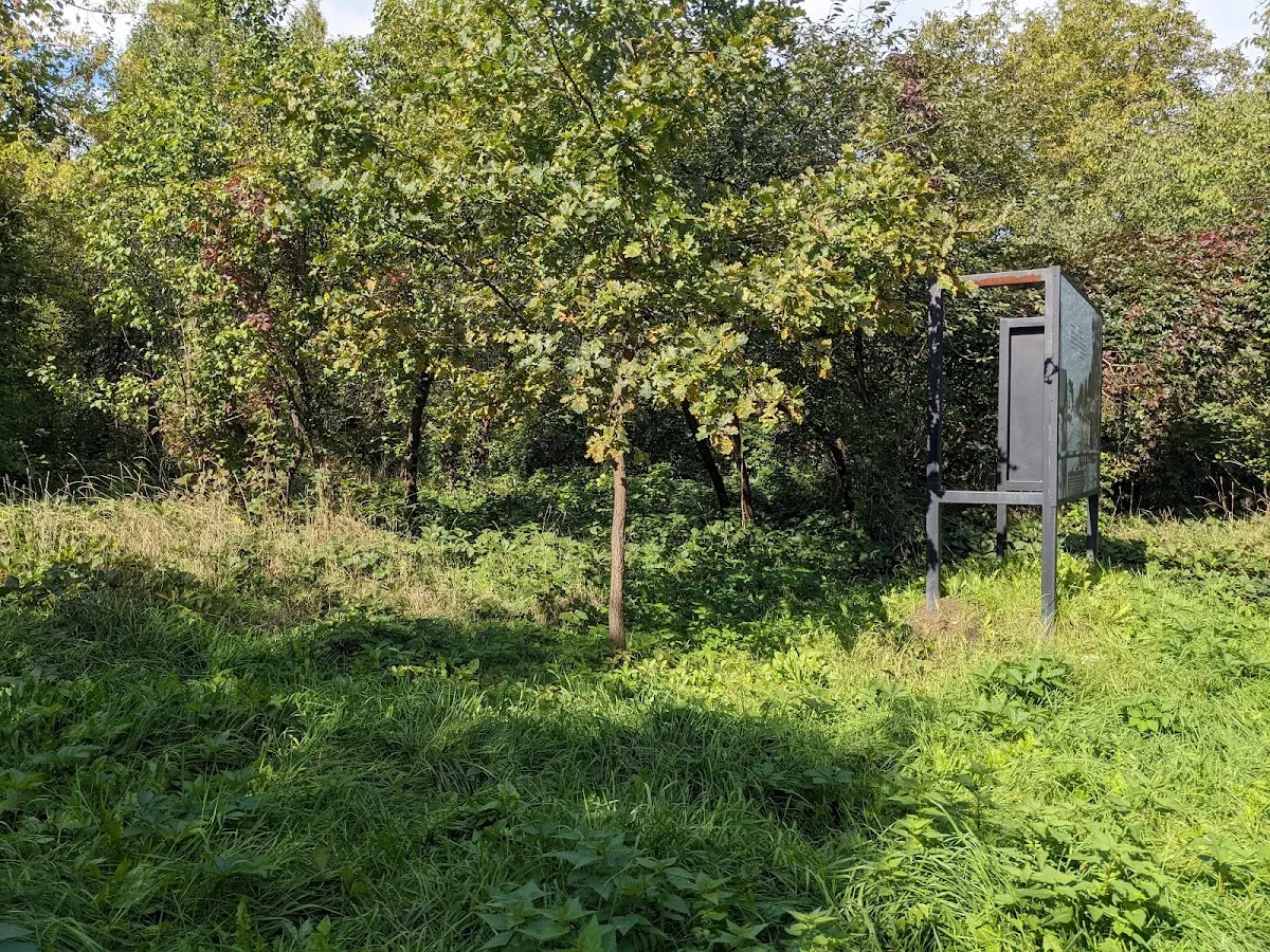 Podgórski nowy cmentarz żydowski — foto 8
