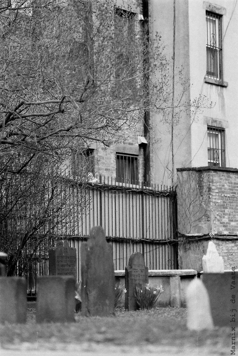 Primer cementerio de Shearith Israel — photo 7