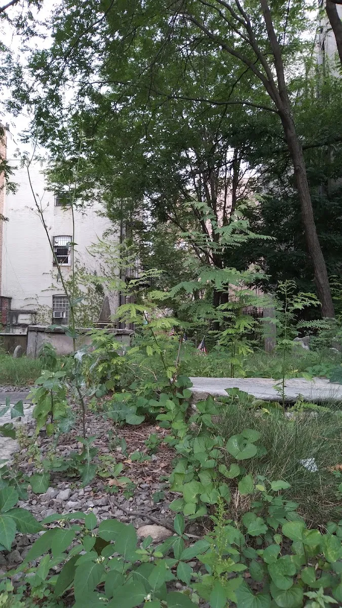 Primer cementerio de Shearith Israel — photo 9