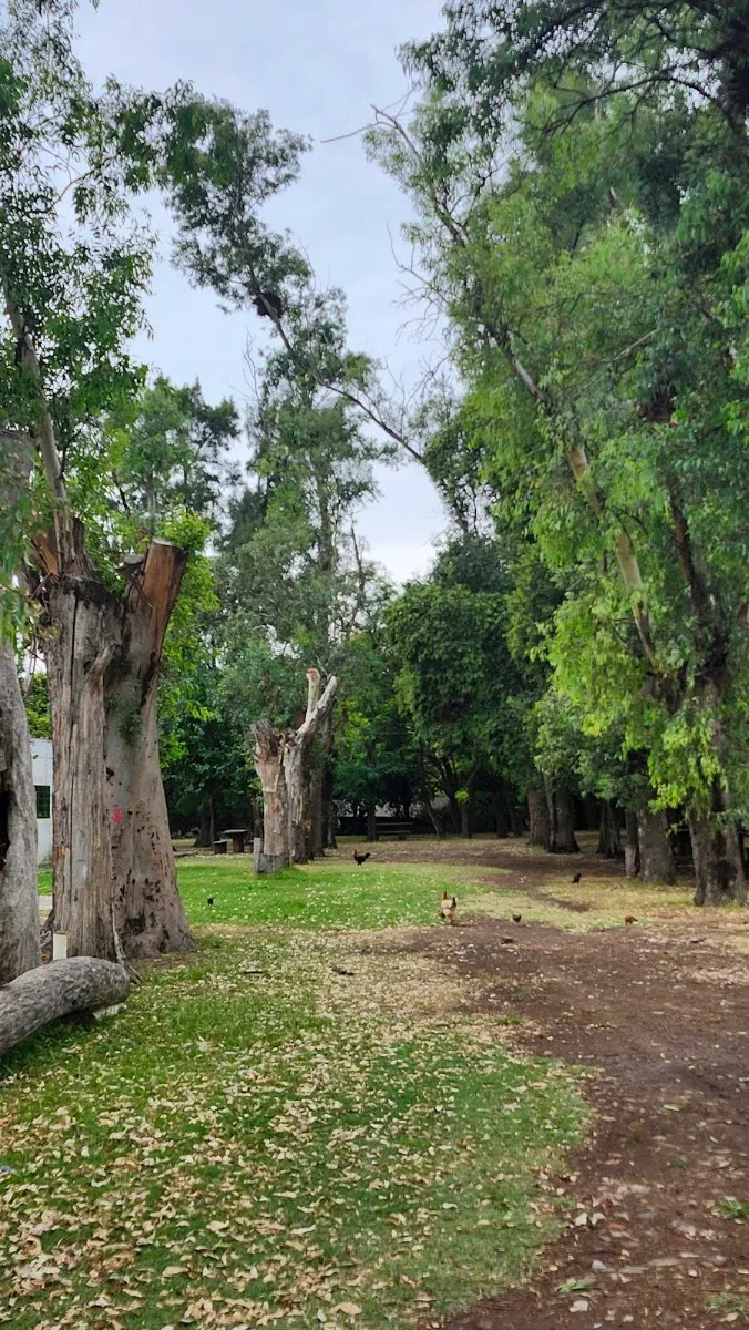 Quinta de Jabad — photo 6