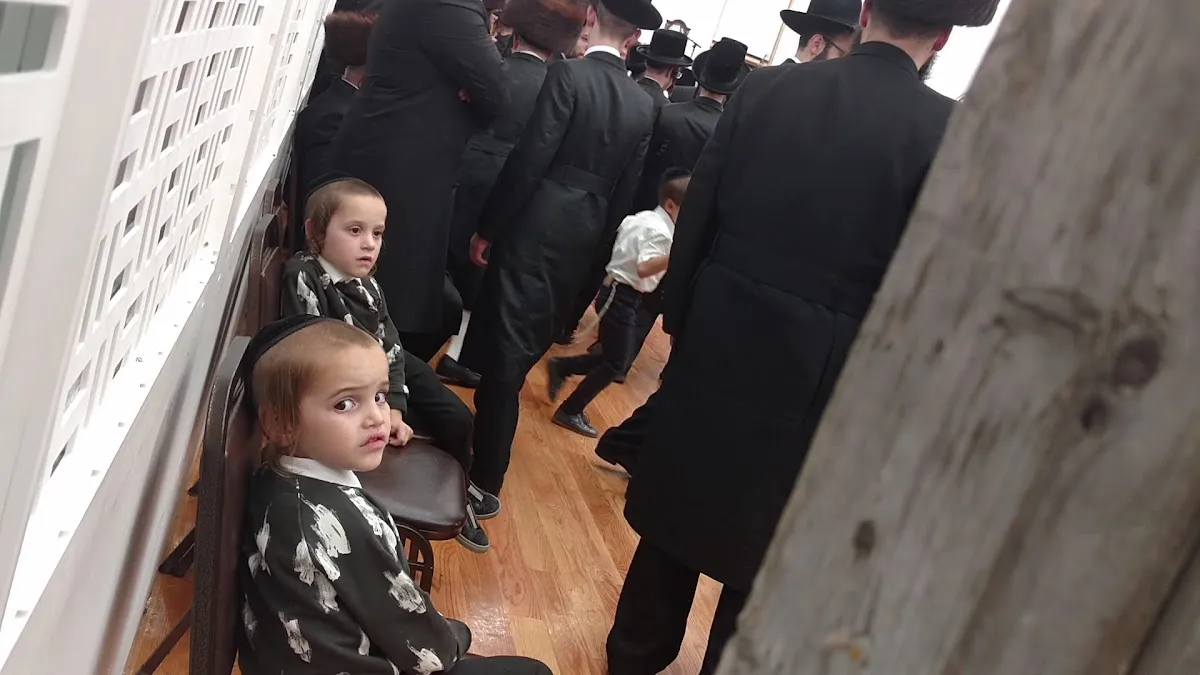 Radashitz Shul — photo 9