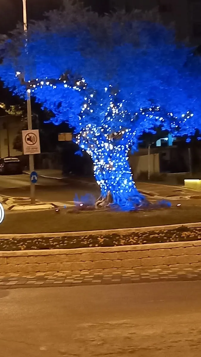 Rami Levy (Rothschild, Petah Tikva) — photo 2