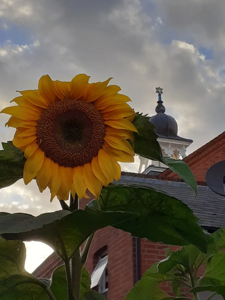Reading Hebrew Congregation — foto 4