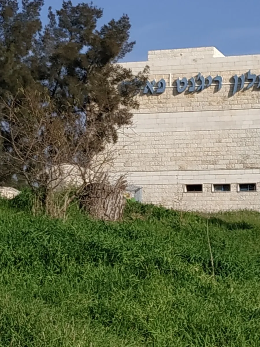 Rechovot HaNahar Synagogue — foto 7