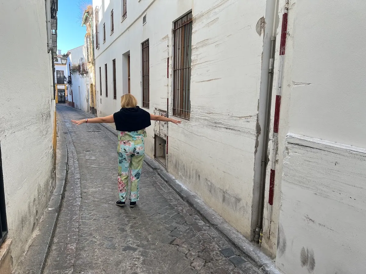 Restos de la Muralla de la Judería de Sevilla — foto 5